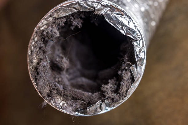 Best HVAC Air Duct Cleaning  in Alturas, CA